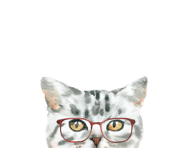 白色围巾小猫素材