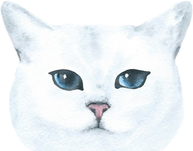 白色手绘小猫素材