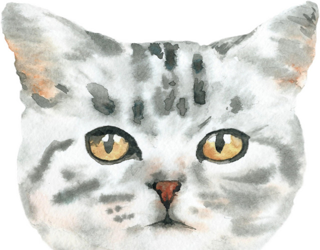 白色手绘小猫素材