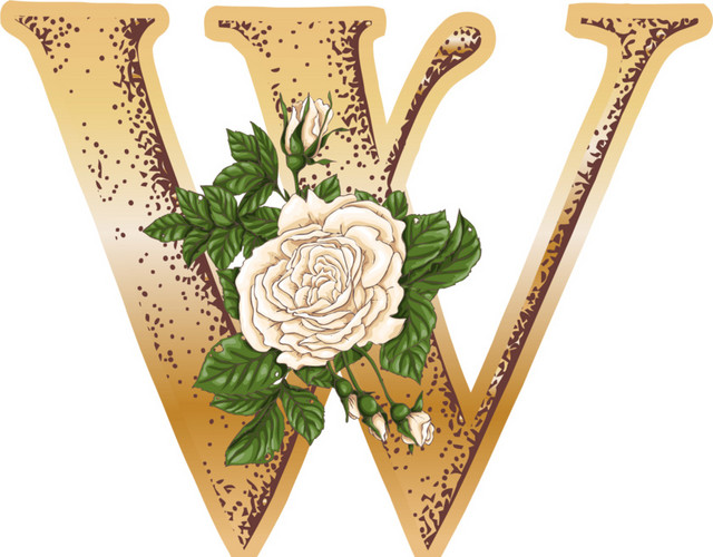 金色字母W花朵素材