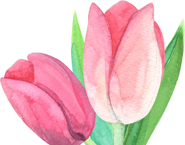红色小花素材