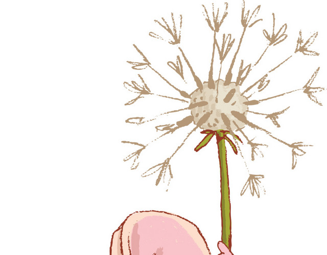 手绘粉色鼠和蒲公英