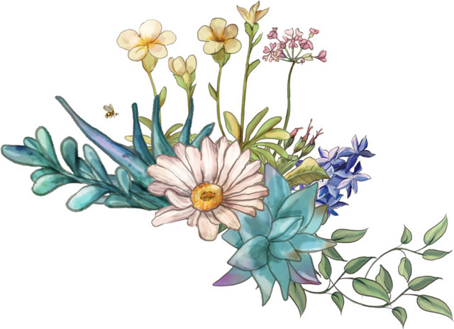 手绘花卉枝叶