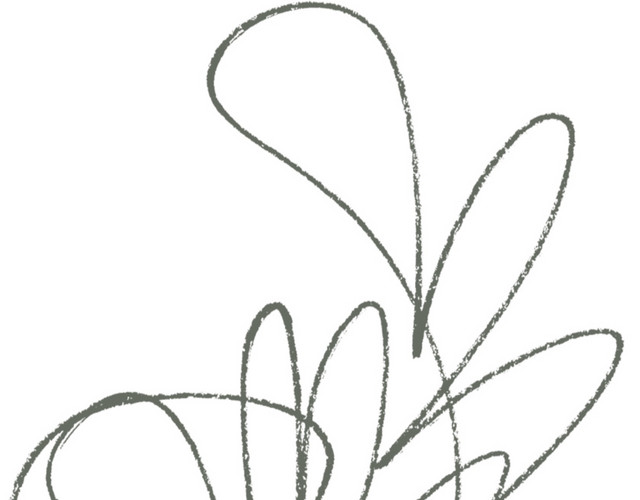 线稿花卉
