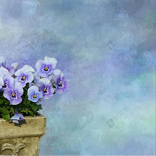 艺术紫色的蝴蝶花画作背景图片