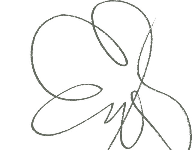 黑色线条花卉