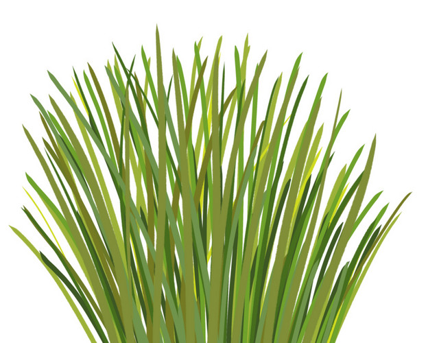 植物绿植青草免抠素材