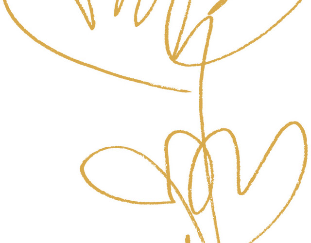 手绘线条花卉