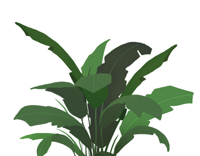 植物绿植免抠素材