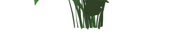 植物绿植免抠素材
