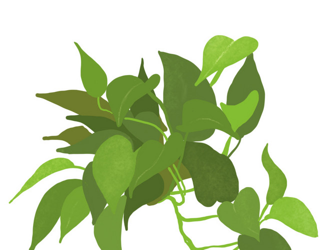 植物绿植免抠素材