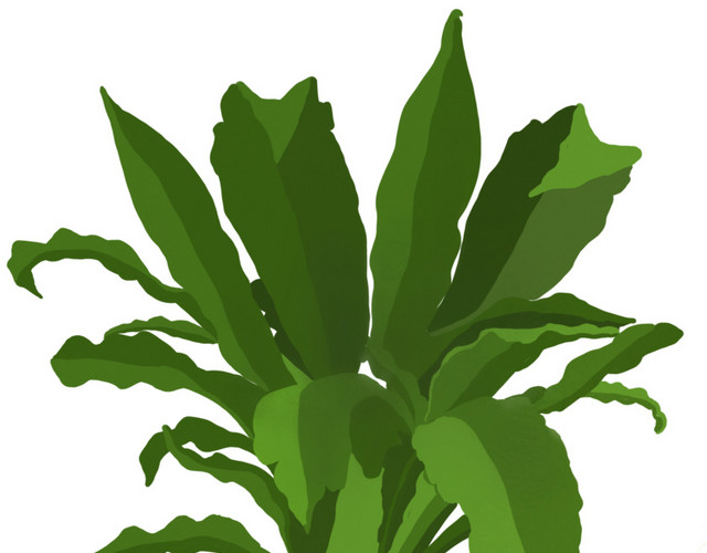 植物绿植免抠素材