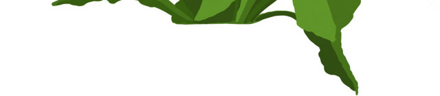 植物绿植免抠素材