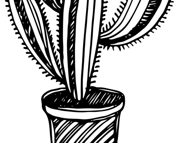 植物仙人掌盆栽卡通素材