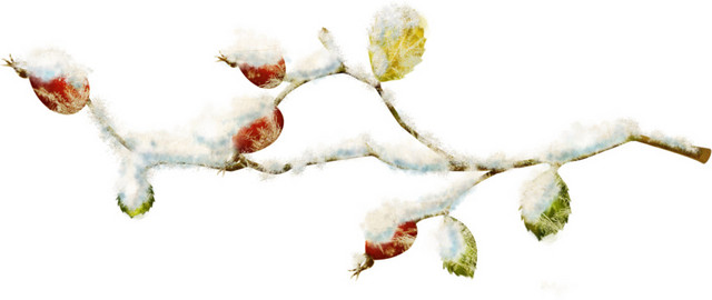 雪枝卡通素材