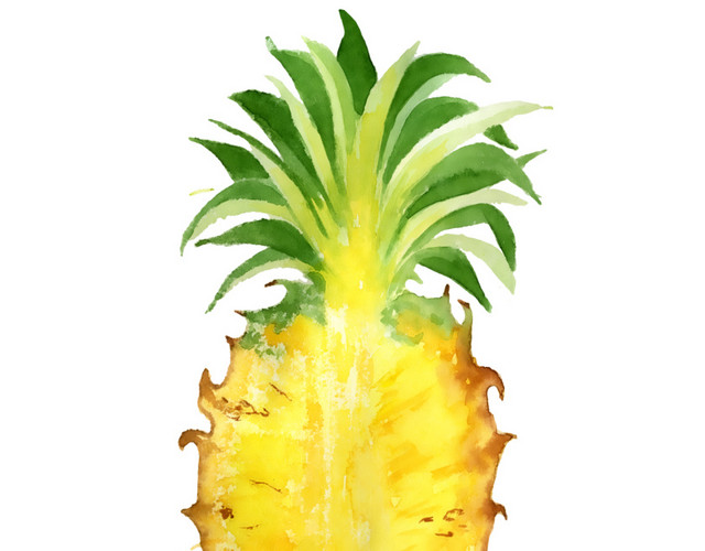 菠萝水彩插画素材