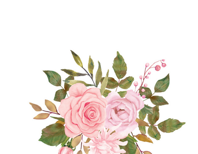 粉色玫瑰插画素材