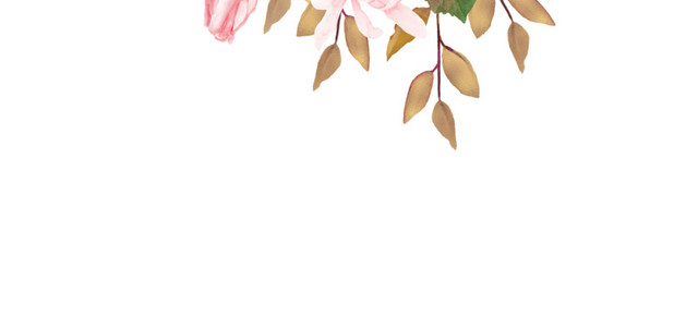 粉色玫瑰插画素材