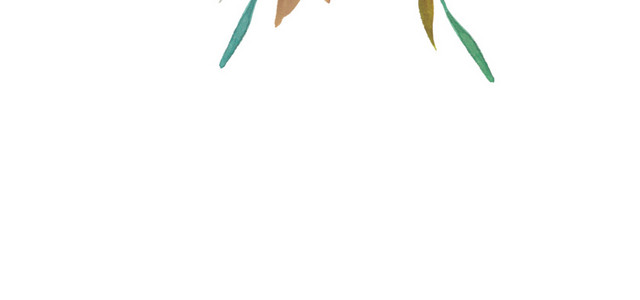 粉色玫瑰插画素材