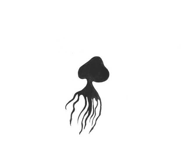 黑色剪影海洋生物水母