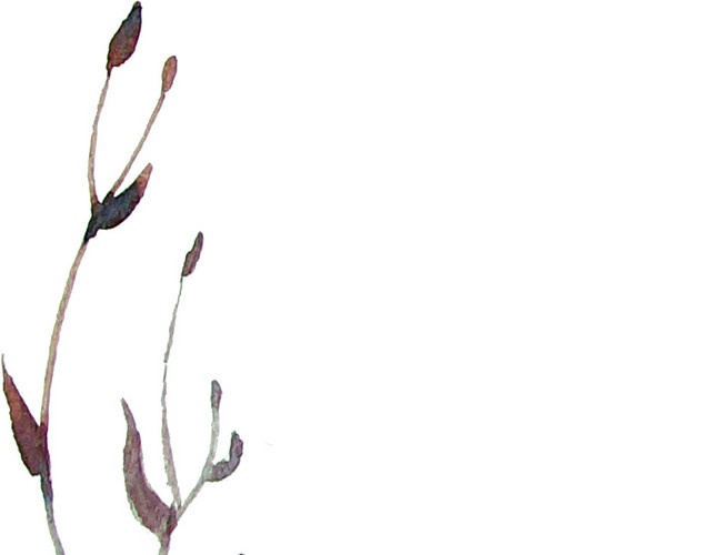 绿色水彩植物枝条
