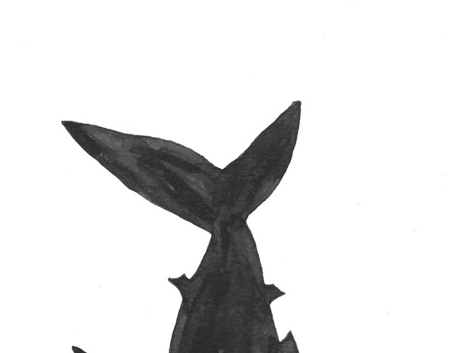 黑色剪影海洋生物鲨鱼