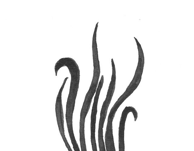 黑色剪影海洋生物水母