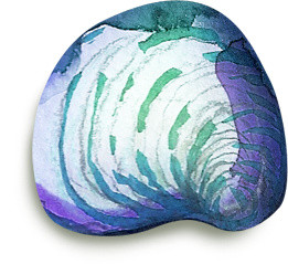 蓝色水彩海洋动物贝壳