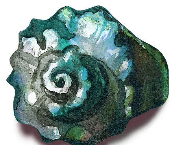 蓝色清新海洋生物海螺素材
