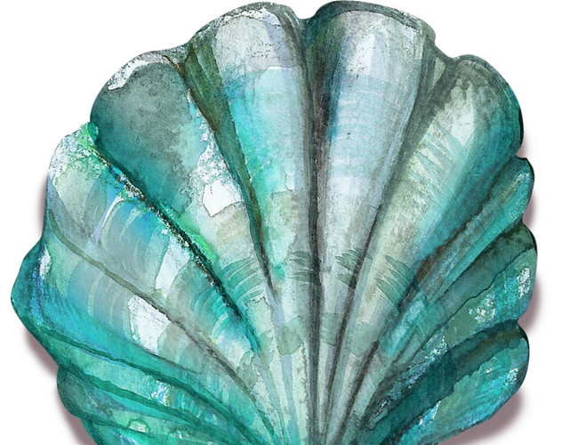蓝色清新海洋生物扇贝素材