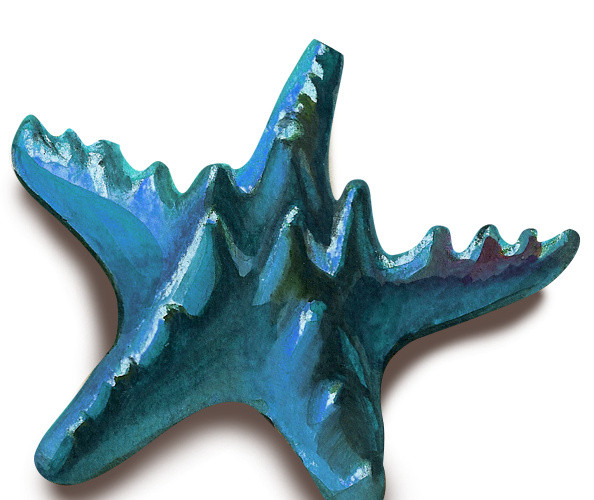 蓝色清新海洋生物海星素材