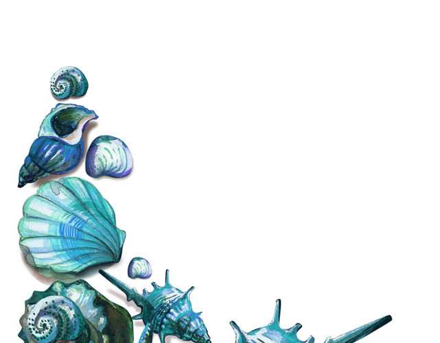 蓝色水彩海洋生物海螺