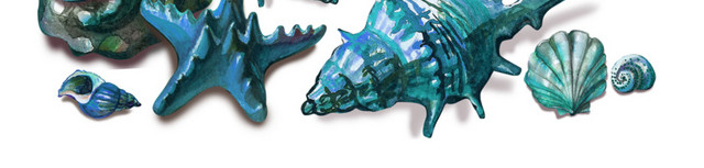 蓝色水彩海洋生物海螺