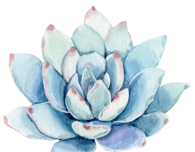 蓝色唯美植物花朵素材