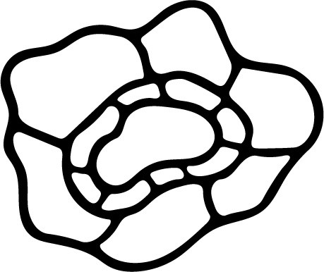 花朵简笔画矢量素材