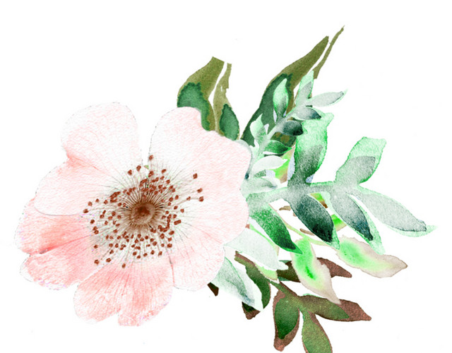 粉红色小花矢量素材