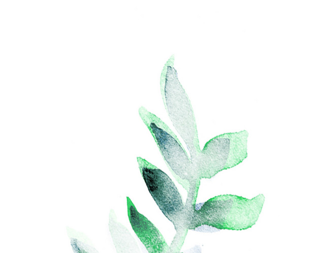 叶子小草植物矢量素材