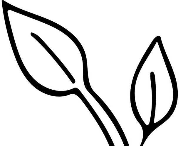 小叶子爱心花盆简笔画矢量素材