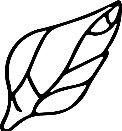 手绘海螺简笔画矢量素材