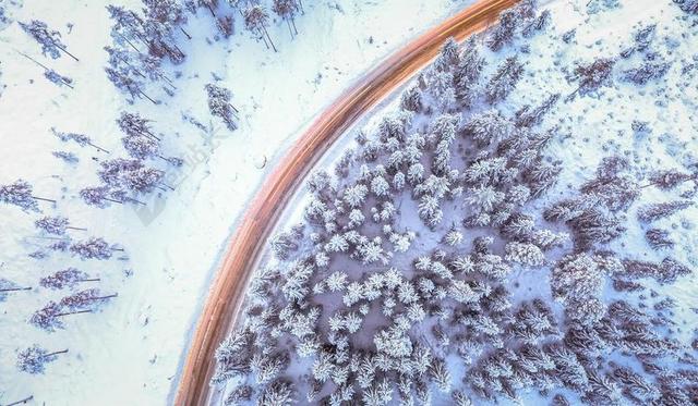 摄影唯美俯视雪景森林背景图片