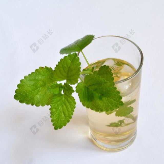 冰茶 梅利莎厚朴 柠檬香蜂草 香膏 喝 健康 草本植物 草药
