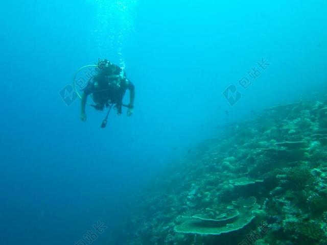 自然潜水员和珊瑚背景图片