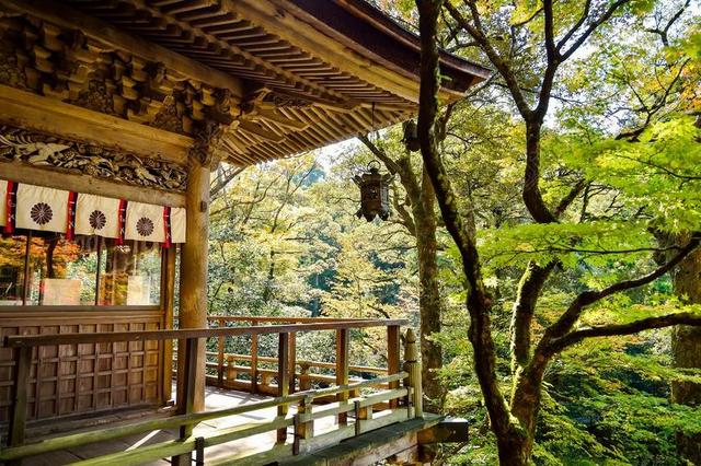 日本 景观 自然 户外 日本观 K 绿色 日本文化 寺
