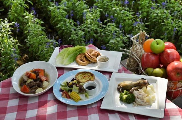 新鲜 食品 保健食品 野餐 方格布式 有营养 水果 蔬菜