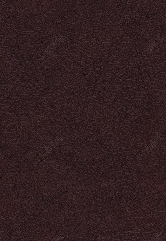 皮革 纹理 背景 织物 原 装潢 材料 模式 艺术 皮肤