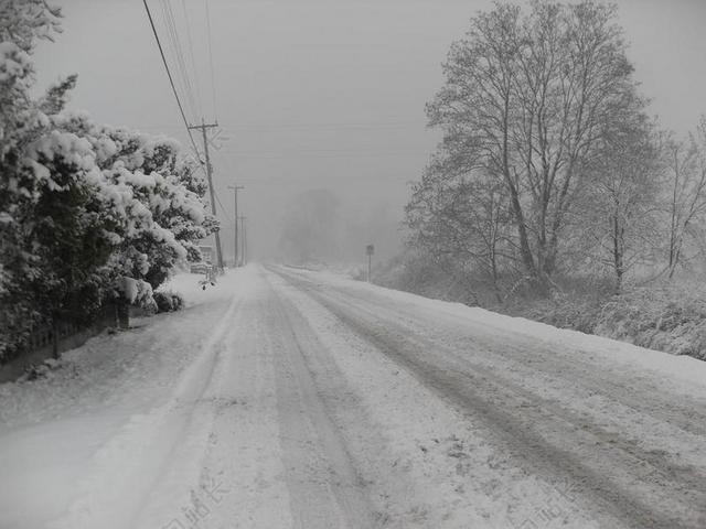 雪 路 冬天 冷 旅行 冰 交通 天气 危险 车道 暴雪