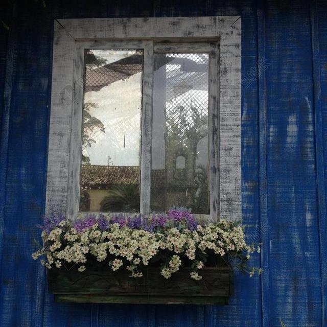 建筑蓝色墙上的花圃背景图片