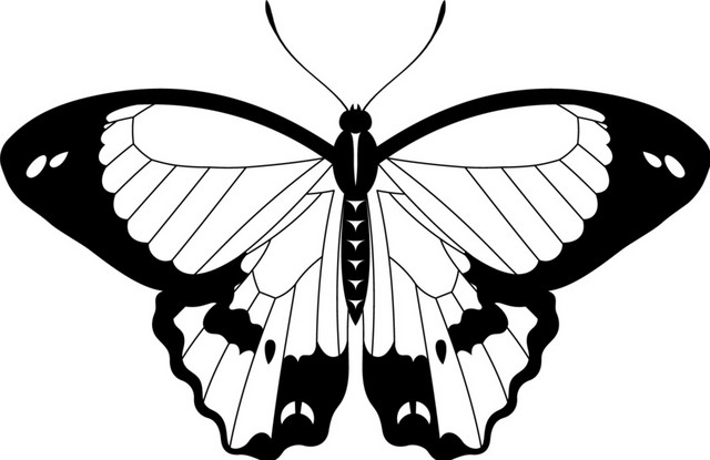 黑白卡通手绘花纹蝴蝶扁平插画素材