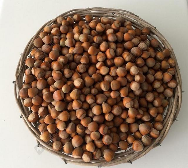 榛子 购物篮 坚果 食品 吃 果荚