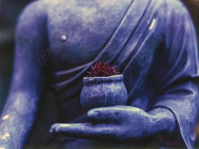 佛 植物 宗教 佛教 祈祷 石 精神 冥想 雕像 放松